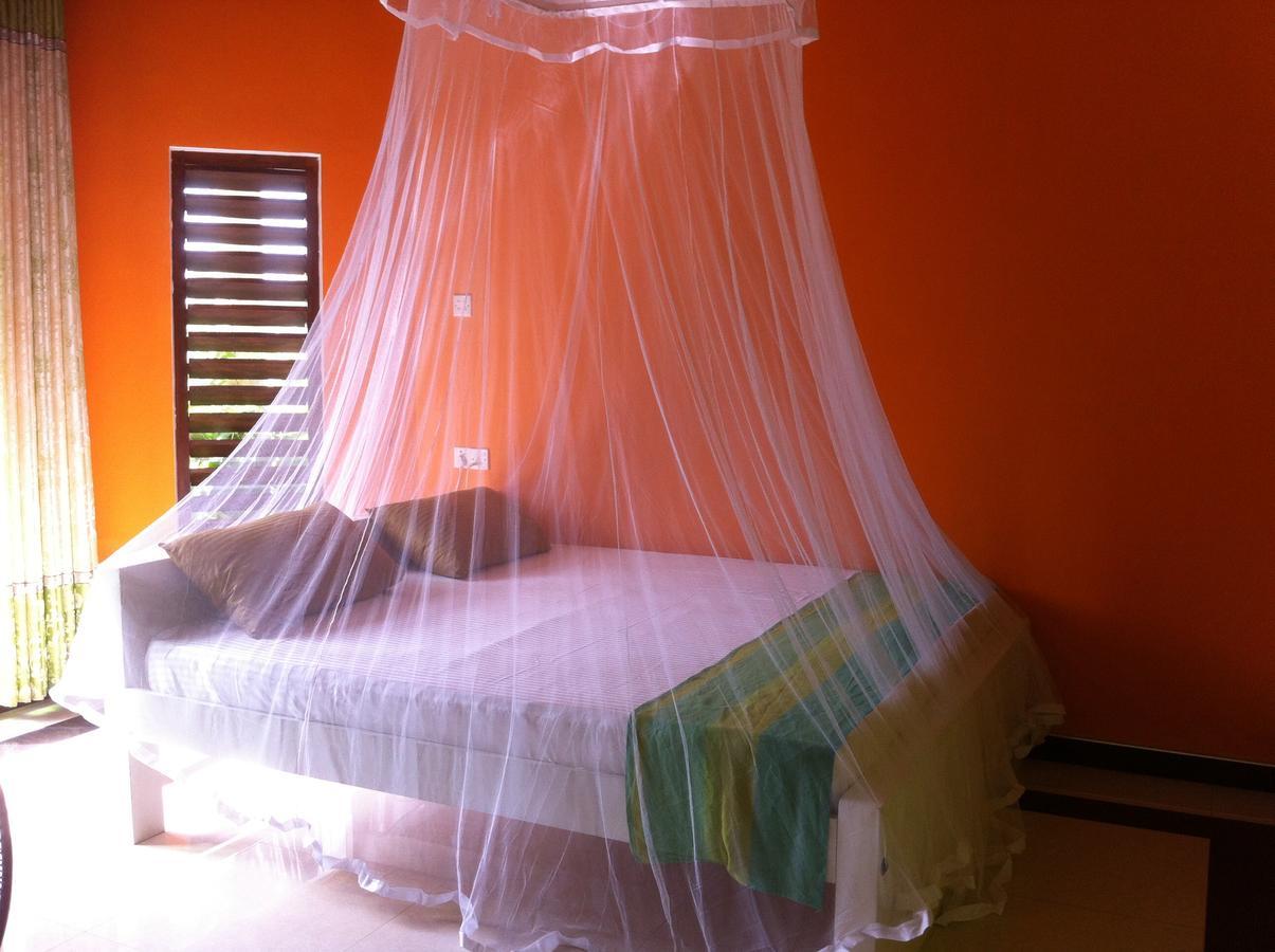 Bee Nest Bed & Breakfast Negombo Eksteriør bilde