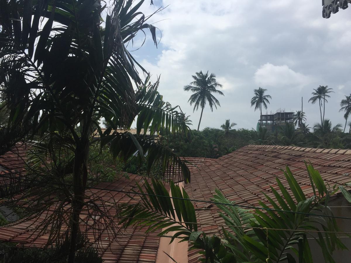 Bee Nest Bed & Breakfast Negombo Eksteriør bilde