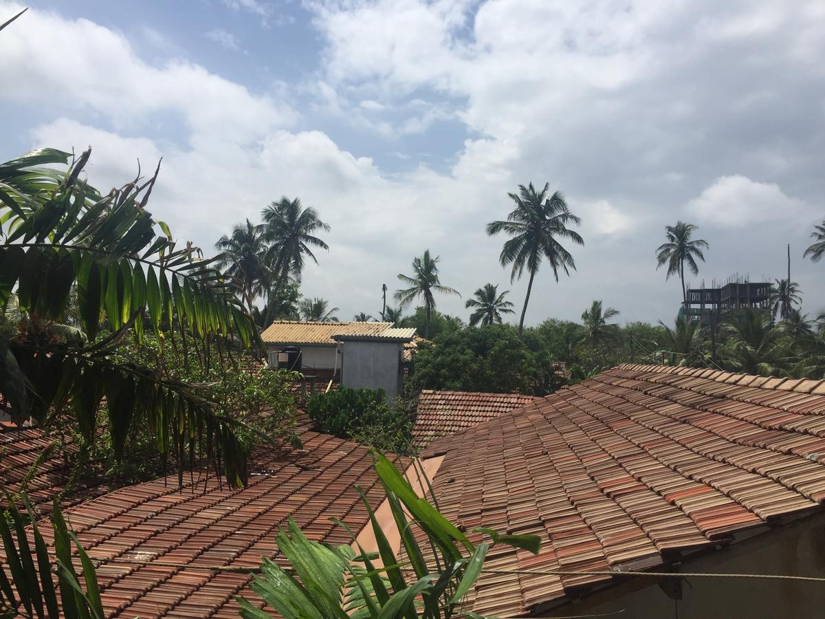 Bee Nest Bed & Breakfast Negombo Eksteriør bilde